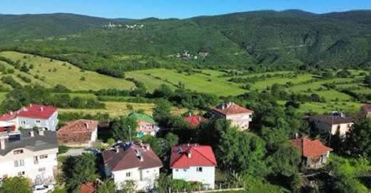 Çorum'da orman köyleri boşalıyor
